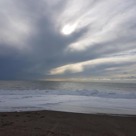 Windy Acre Bed & Breakfast Carne Bagian luar foto